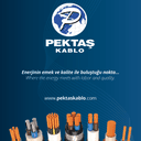 PEKTAŞ KABLO VE PVC GRANÜL SANAYİ TİCARET ANONİM ŞİRKETİ