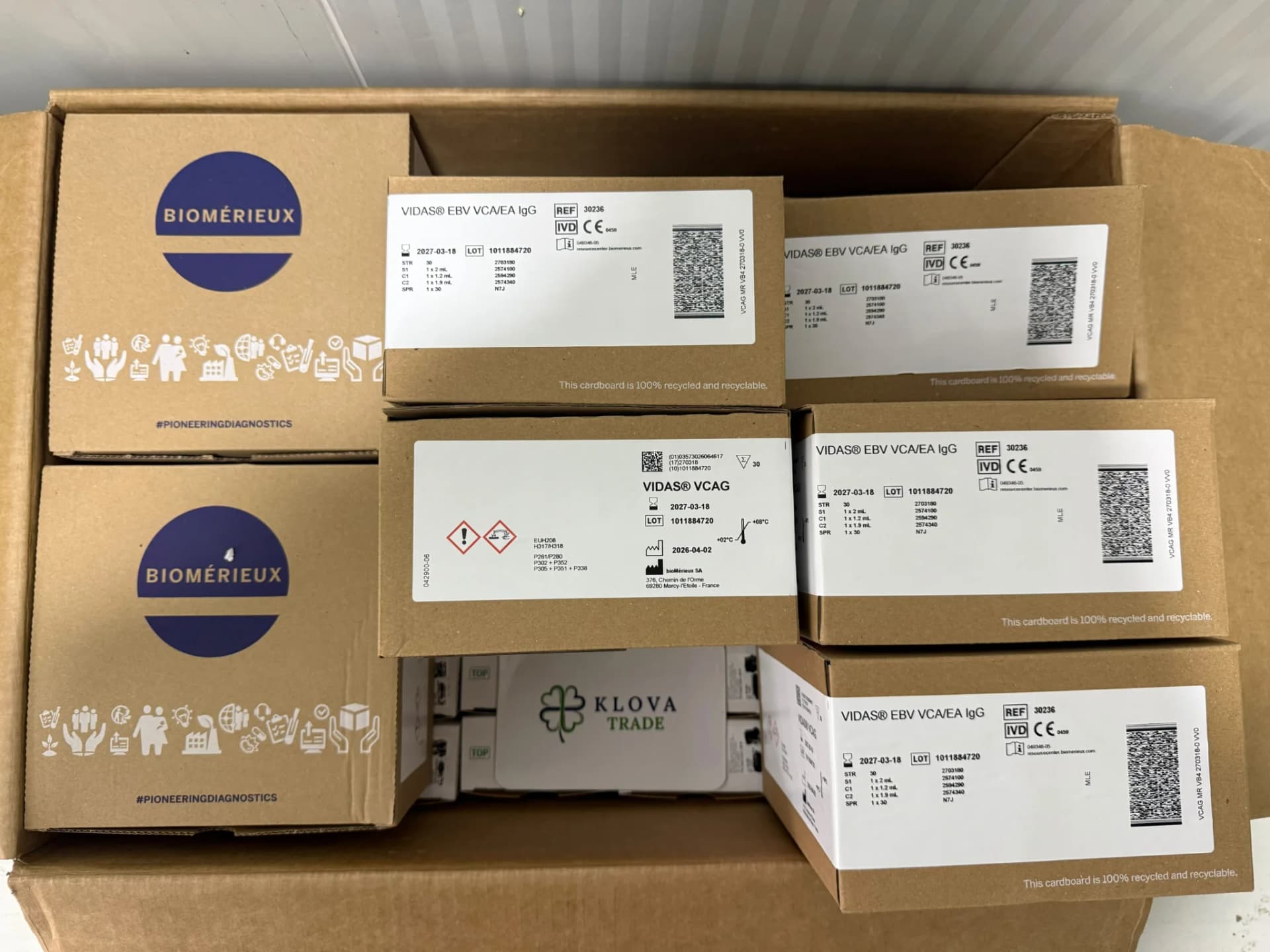 Biomerieux Vidas EBV IgG Reagent 30236